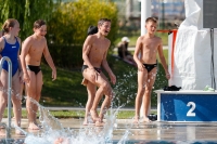 Thumbnail - International Diving Meet Graz 2019 - Прыжки в воду 03030_11443.jpg