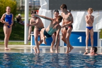 Thumbnail - International Diving Meet Graz 2019 - Прыжки в воду 03030_11459.jpg