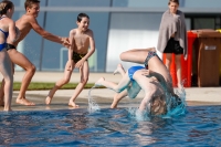 Thumbnail - 2019 - International Diving Meet Graz - Wasserspringen 03030_11503.jpg