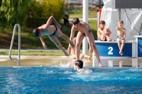 Thumbnail - International Diving Meet Graz 2019 - Tuffi Sport 03030_11538.jpg