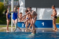 Thumbnail - Allgemeine Fotos - Wasserspringen - 2019 - International Diving Meet Graz 03030_11582.jpg