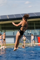 Thumbnail - Girls B - Hanna Eckold - Tuffi Sport - International Diving Meet Graz 2019 - Participants - Germany 03030_11631.jpg