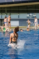 Thumbnail - Girls B - Hanna Eckold - Wasserspringen - 2019 - International Diving Meet Graz - Teilnehmer - Deutschland 03030_11632.jpg