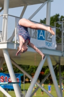 Thumbnail - Austria - Tuffi Sport - International Diving Meet Graz 2019 - Participants 03030_12015.jpg