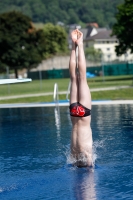 Thumbnail - Participants - Прыжки в воду - International Diving Meet Graz 2019 03030_12581.jpg