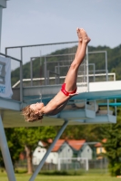 Thumbnail - Participants - Diving Sports - International Diving Meet Graz 2019 03030_12831.jpg