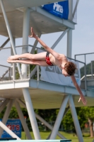 Thumbnail - Teilnehmer - Wasserspringen - 2019 - International Diving Meet Graz 03030_12944.jpg