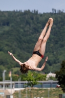 Thumbnail - 2019 - International Diving Meet Graz - Wasserspringen 03030_13279.jpg