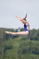 Thumbnail - 2019 - International Diving Meet Graz - Wasserspringen 03030_13692.jpg