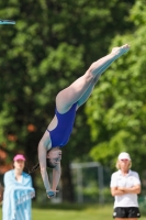 Thumbnail - 2019 - International Diving Meet Graz - Wasserspringen 03030_13719.jpg