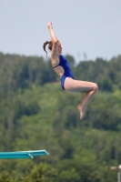 Thumbnail - Girls A - Laura Venetia Valore - Прыжки в воду - International Diving Meet Graz 2019 - Participants - Denmark 03030_14059.jpg