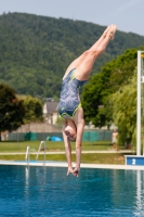 Thumbnail - Girls B - Anne Büchner - Diving Sports - International Diving Meet Graz 2019 - Participants - Germany 03030_14985.jpg
