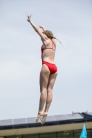 Thumbnail - Hungary - Прыжки в воду - International Diving Meet Graz 2019 - Participants 03030_15352.jpg