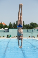 Thumbnail - Participants - Прыжки в воду - 2019 - Alpe Adria Finals Zagreb 03031_00032.jpg