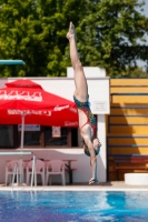 Thumbnail - 2019 - Alpe Adria Finals Zagreb - Прыжки в воду 03031_00085.jpg