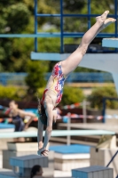 Thumbnail - Croatia - Girls - Прыжки в воду - 2019 - Alpe Adria Finals Zagreb - Participants 03031_00468.jpg