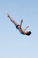Thumbnail - Boys A - Davide Fornasaro - Diving Sports - 2019 - Alpe Adria Finals Zagreb - Participants - Italy 03031_01344.jpg