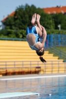 Thumbnail - Girls D - Caterina P - Diving Sports - 2019 - Alpe Adria Finals Zagreb - Participants - Italy 03031_03969.jpg