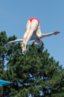 Thumbnail - Boys D - Gabriele - Tuffi Sport - 2019 - Alpe Adria Finals Zagreb - Participants - Italy 03031_05559.jpg