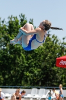 Thumbnail - Girls C - Annika - Прыжки в воду - 2019 - Alpe Adria Finals Zagreb - Participants - Austria 03031_06890.jpg