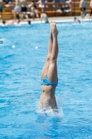 Thumbnail - Boys C - Umid - Diving Sports - 2019 - Alpe Adria Finals Zagreb - Participants - Italy 03031_08076.jpg