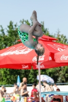 Thumbnail - Austria - Diving Sports - 2019 - Alpe Adria Finals Zagreb - Participants 03031_09341.jpg