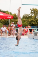 Thumbnail - Boys D - Gabriele - Прыжки в воду - 2019 - Alpe Adria Finals Zagreb - Participants - Italy 03031_12299.jpg