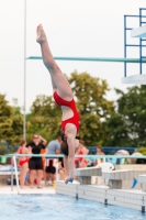 Thumbnail - Girls D - Marta - Wasserspringen - 2019 - Alpe Adria Finale Zagreb - Teilnehmer - Italien 03031_12574.jpg