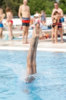 Thumbnail - Girls D - Lilli - Прыжки в воду - 2019 - Alpe Adria Finals Zagreb - Participants - Austria 03031_14594.jpg
