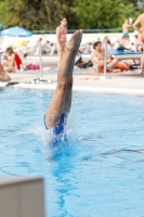 Thumbnail - Girls D - Florentina - Прыжки в воду - 2019 - Alpe Adria Finals Zagreb - Participants - Austria 03031_15490.jpg