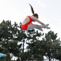 Thumbnail - Girls D - Ludovika - Прыжки в воду - 2019 - Alpe Adria Finals Zagreb - Participants - Italy 03031_15974.jpg