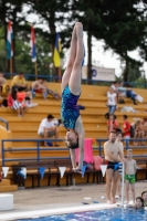Thumbnail - Girls D - Tara - Прыжки в воду - 2019 - Alpe Adria Finals Zagreb - Participants - Serbia 03031_16043.jpg