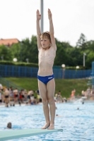 Thumbnail - Boys D - Martin - Diving Sports - 2019 - Alpe Adria Finals Zagreb - Participants - Austria 03031_16919.jpg