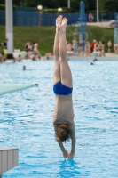 Thumbnail - Boys D - Martin - Diving Sports - 2019 - Alpe Adria Finals Zagreb - Participants - Austria 03031_16923.jpg