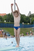 Thumbnail - Boys D - Martin - Diving Sports - 2019 - Alpe Adria Finals Zagreb - Participants - Austria 03031_17031.jpg