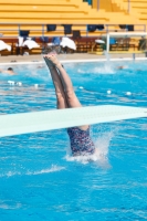 Thumbnail - Austria - Plongeon - 2019 - Alpe Adria Finals Zagreb - Participants 03031_17449.jpg