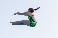 Thumbnail - Girls B - Olivia Meusburger - Прыжки в воду - 2019 - Alpe Adria Finals Zagreb - Participants - Austria 03031_17557.jpg
