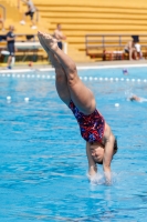 Thumbnail - Girls A - Alissa Clari - Diving Sports - 2019 - Alpe Adria Finals Zagreb - Participants - Italy 03031_18144.jpg