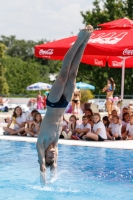 Thumbnail - Italy - Прыжки в воду - 2019 - Alpe Adria Finals Zagreb - Participants 03031_19032.jpg