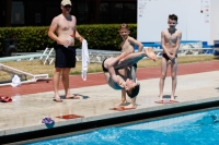 Thumbnail - Grossbritannien - Wasserspringen - 2019 - Roma Junior Diving Cup - Teilnehmer 03033_00170.jpg