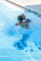 Thumbnail - Allgemeine Fotos - Wasserspringen - 2019 - Roma Junior Diving Cup 03033_00462.jpg