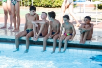 Thumbnail - Allgemeine Fotos - Wasserspringen - 2019 - Roma Junior Diving Cup 03033_00530.jpg
