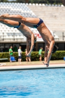 Thumbnail - Synchronwettkämpfe - Wasserspringen - 2019 - Roma Junior Diving Cup 03033_05271.jpg