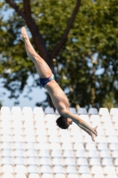 Thumbnail - Boys A - Davide Baraldi - Wasserspringen - 2019 - Roma Junior Diving Cup - Teilnehmer - Italien - Boys 03033_07940.jpg