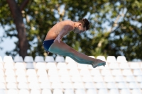 Thumbnail - Boys A - Davide Baraldi - Wasserspringen - 2019 - Roma Junior Diving Cup - Teilnehmer - Italien - Boys 03033_08141.jpg