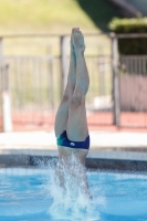 Thumbnail - Boys A - Davide Baraldi - Wasserspringen - 2019 - Roma Junior Diving Cup - Teilnehmer - Italien - Boys 03033_08147.jpg