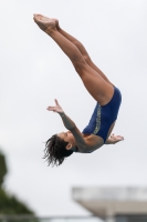 Thumbnail - Girls C - Ilaria - Diving Sports - 2019 - Roma Junior Diving Cup - Participants - Italy - Girls 03033_25572.jpg