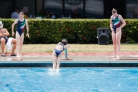 Thumbnail - Girls C - Maya - Diving Sports - 2019 - Roma Junior Diving Cup - Participants - Italy - Girls 03033_27609.jpg