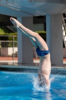 Thumbnail - Teilnehmer - Wasserspringen - 2019 - Roma Junior Diving Cup 03033_30493.jpg