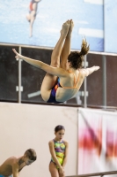 Thumbnail - 2019 - Alpe Adria Trieste - Diving Sports 03038_00235.jpg